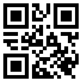 Il Qr Code di 3919616534