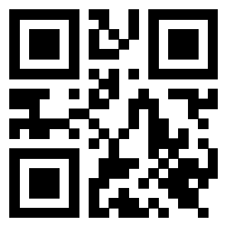 Il Qr Code di 3919616566