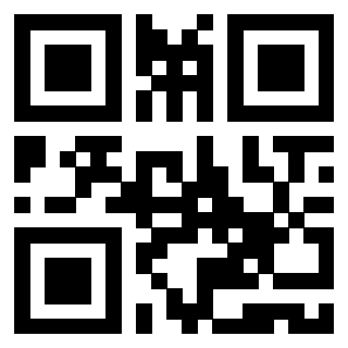Il Qr Code di 3919616593