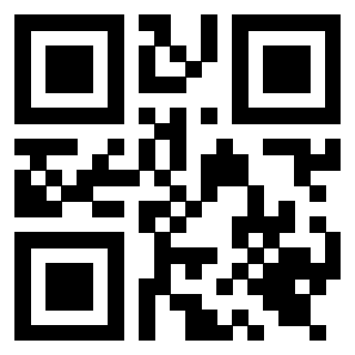 QrCode di 3919616596