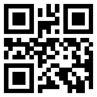 Il Qr Code di 3919616601