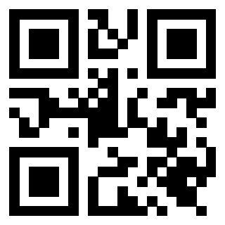 Il Qr Code di 3919616633