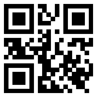 Il Qr Code di 3919616635