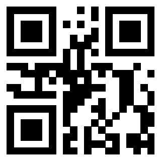 Il Qr Code di 3919616636