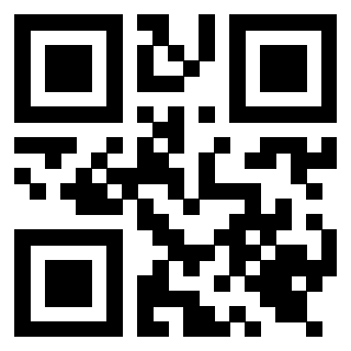 Il Qr Code di 3919616665