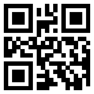 3919616666 Qr Code associato