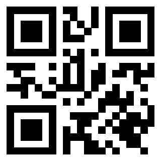 Il Qr Code di 3919616708