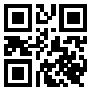 Il Qr Code di 3919616715