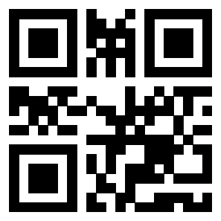 Il Qr Code di 3919616725