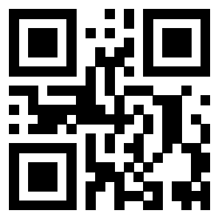 Il Qr Code di 3919616736