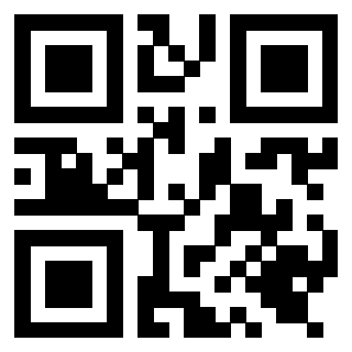 Il Qr Code di 3919616748