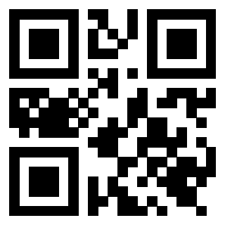 Il Qr Code di 3919616749