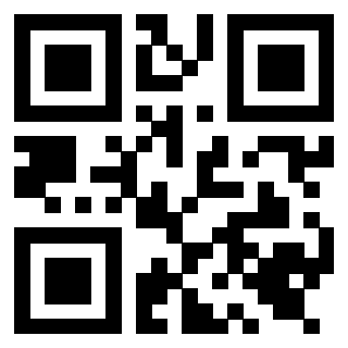 Il Qr Code di 3919648175
