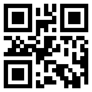 Il Qr Code di 3919648181