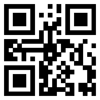 Scansione del Qr Code di 3919648211