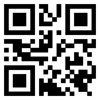 Il Qr Code di 3919648216