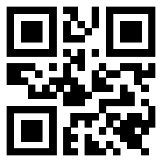 Immagine del Qr Code di 3919648229