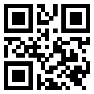 QrCode di 3919648234