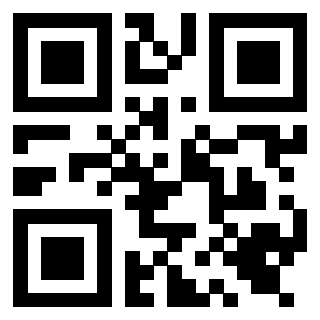 Il Qr Code di 3919648236
