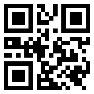 Il QrCode di 3919648238