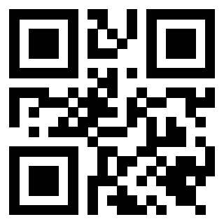 Il Qr Code di 3919648254