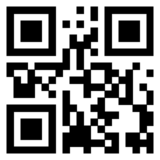 Il Qr Code di 3919648267