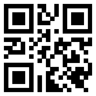 Il Qr Code di 3919648276