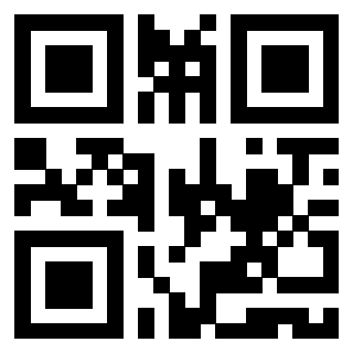 Il Qr Code di 3919648289
