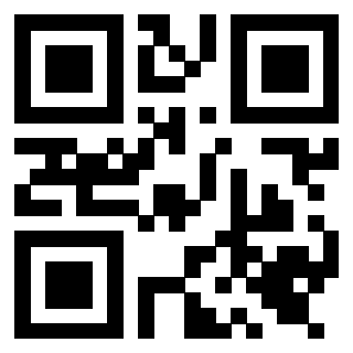 QrCode di 3919648305