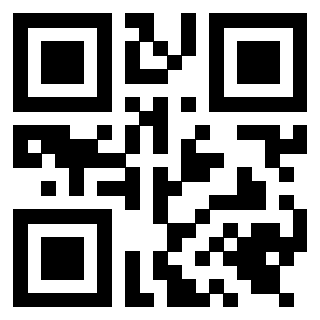 Il Qr Code di 3919648310