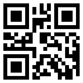 Il Qr Code di 3919648324