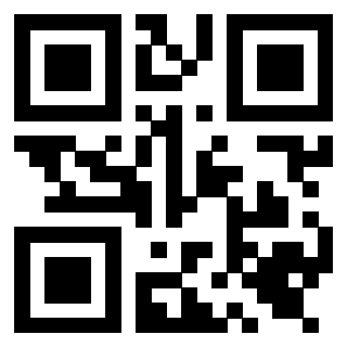 Il Qr Code di 3919648327