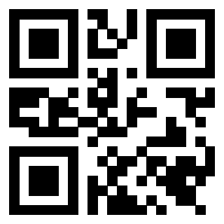 Il Qr Code di 3919648331
