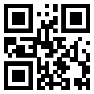 QrCode di 3919648333