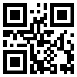 Il Qr Code di 3919648390