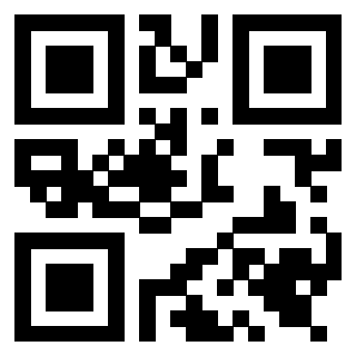 QrCode di 3919648391