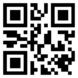 Il Qr Code di 3919648452