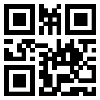 Il Qr Code di 3919648470
