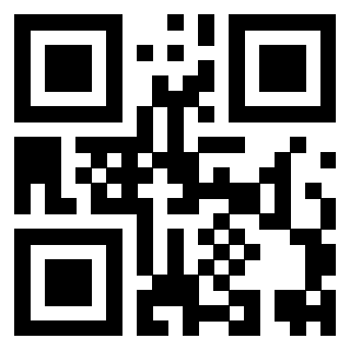3919648480 - Immagine del Qr Code associato