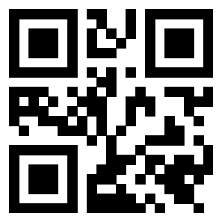 Il Qr Code di 3919648511