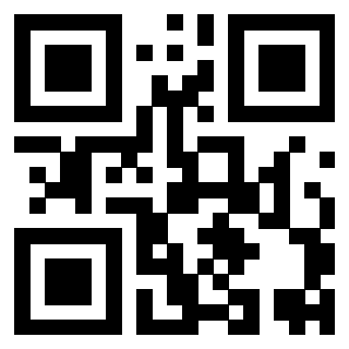 Il Qr Code di 3919648533