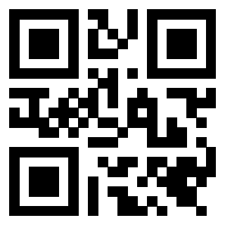 Il Qr Code di 3919648543