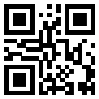 Il Qr Code di 3919648558