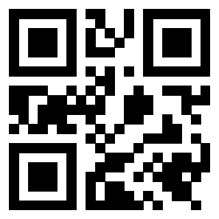 Il Qr Code di 3919648570
