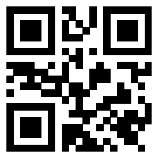Il Qr Code di 3919648594