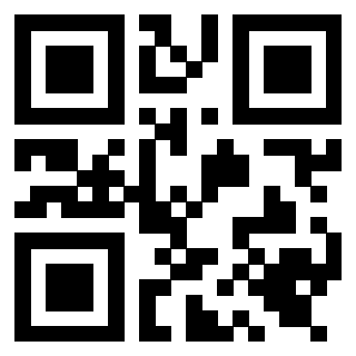 Il Qr Code di 3919648596