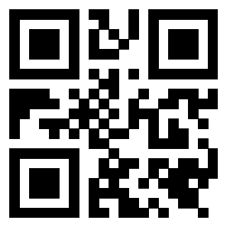 Il Qr Code di 3919648613