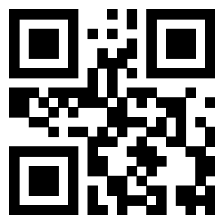 Il Qr Code di 3919648623