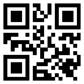 QrCode di 3919648634