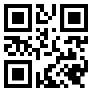 Il Qr Code di 3919648638